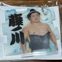 大相撲 つながるパズルキーホルダー【藤ノ川】