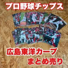 カルビー　プロ野球チップスカード　広島東洋カープ