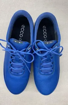 ecco エコー ゴアテックス GORE-TEX SURROUND 23㎝ブルーのサムネイル