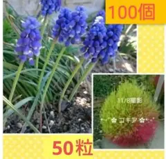 のり様 リクエスト 3点 まとめ商品