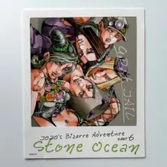 ジョジョ フォトカードブック 6部 空条徐倫 アナスイ ジャンフェス