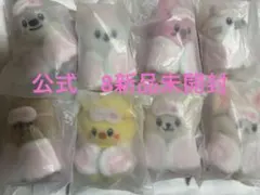Stray Kids スキズ　コンプリート 10cm ぬいぐるみ　Skzoo 2 Stray Kids スキズ コンプリート 10cm ぬいぐるみ Skzoo 2 - メルカリ