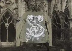 エンブレムプリント翼ロンT、短丈、y2k、フェアリーグランジ、ピチT、平成