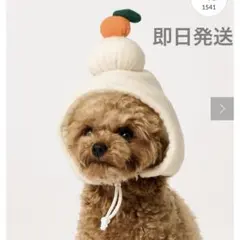 Item thumbnail for item d6101ffc-c457-4747-8b6c-40bda46ec8d4