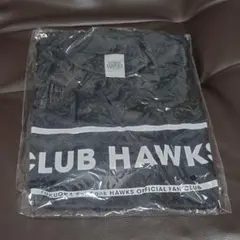 Item thumbnail for item f533245d-54d7-4869-af75-6fae3d5ab1b5