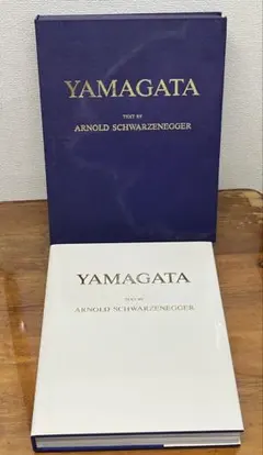 画集ヒロ・ヤマガタ YAMAGATA アーノルド・シュワルツェネッガー