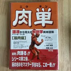 肉単 - 解剖学用語集