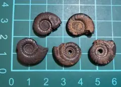 さかな様 リクエスト 4点 まとめ商品