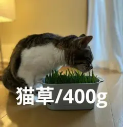 Item thumbnail for item 2967accd-6af5-4793-b24b-d0704581fdad