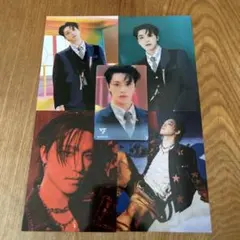 SEVENTEEN ディノ　フォトセット