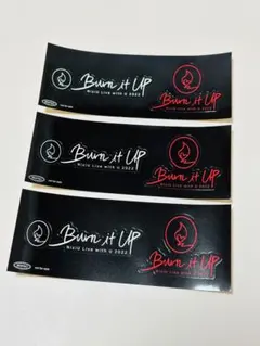 NiziU ロゴステッカー