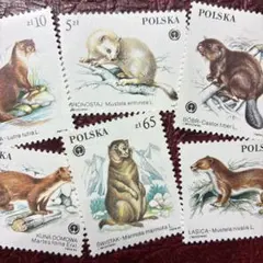 79627セール現品限 外国切手 国連発行絶滅危惧種4種揃田型 - メルカリ