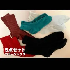 靴下 保管のみ リブ素材 カラーソックス ラメ シアー 5点セット