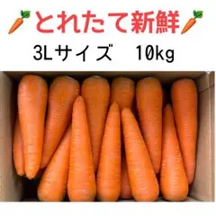 コパ様専用　3Lサイズ　10kg ２箱農家直送 １のサムネイル
