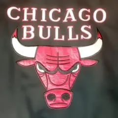 ド迫力バックロゴ！ブラック♪NBAブルズ短丈中綿ブルゾン　スイングトップXL相当