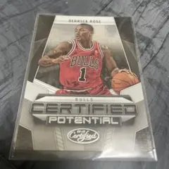 NBA ローズ　500シリ