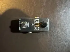tc electronic DITTO LOOPER 本体