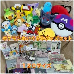 ポケモングッズセット ポケモンぬいぐるみ ピカチュウ ポケモン お買得セット
