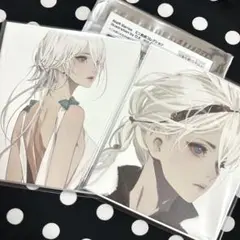 NieR Series ミニ色紙コレクション　ニーア 主人公　12枚セット メルカリ