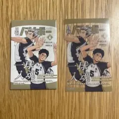 月刊バリボー　梟谷学園　缶バッジ　クリアカード