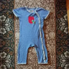 はらぺこあおむし 80センチ