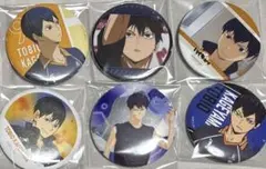 影山飛雄　缶バッジ　ハイキュー‼︎ まとめ　6点