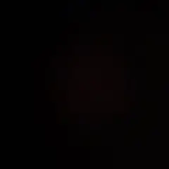 専用ページ