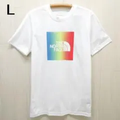 ザ ノースフェイス ボックス イン 半袖Tシャツ L 白xマルチカラー