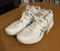 アシックス　GELHOOP V15 28.0cm