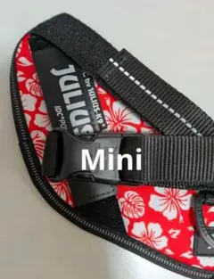 Item thumbnail for item d8ec06fc-0f08-4720-9f40-37f01dd9ace2