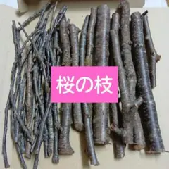 桜の枝　0.3cm〜3cm　ネコポスいっぱい小動物かじり木 とまり木 工作材料⑦のサムネイル