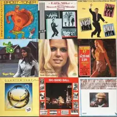 E1B様 リクエスト 2点 まとめ商品