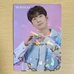 SEVENTEEN ウォヌ トレカ