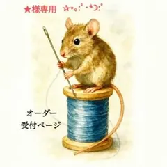 ★様専用✰⋆。:゜・*☽:゜