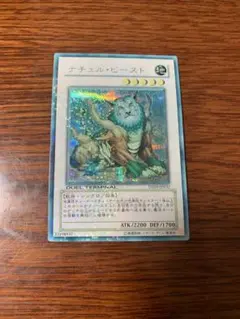 2026年最新】ナチュル・ビースト DTの人気アイテム - メルカリ