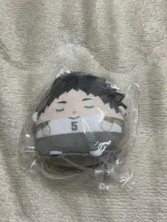 ハイキュー!! くじメイト ぬいくじ E賞 赤葦京治 - メルカリ