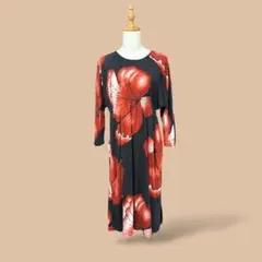 アメリカ ワンピース