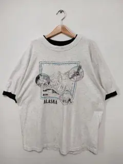 271 90s USA製 スーベニア アラスカ シングルステッチ Tシャツ