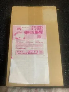 ポケモン スカーレット＆バイオレット BOX ヒロシマ シュリンク未開封 納品書