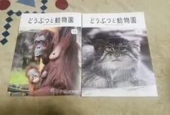 Item thumbnail for item 69248c62-578d-410b-bff6-f5670984eaf2