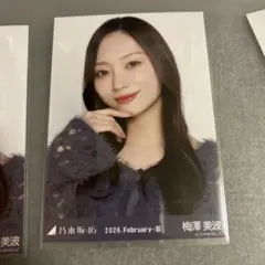 Item thumbnail for item 073f0a10-4dd8-4f48-a863-588ebcdb8740