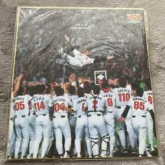 い*ん様 福岡ダイエーホークス　1999優勝記念色紙