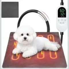 Item thumbnail for item a67dd666-5aa2-4139-a2a7-03d94c2d2dd3