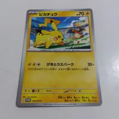 m32051131983_1.jpg?1772789349