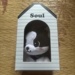 三代目 j soul brothers 登坂広臣 infinity moon