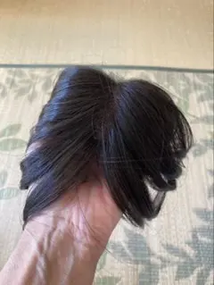 専用です　FONTAINE ウィッグ 2025年最新】Yahoo!オークション -フォンテーヌ ウィッグ