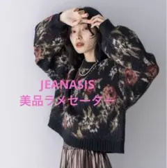JEANASIS 5Gフラワーラメフェザープル オーバーニット