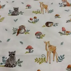 あんにょん様 リクエスト 2点 まとめ商品