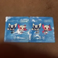 クーリングボディシート 2枚セット