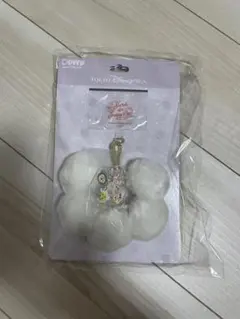 ダッフィー&フレンズのシークレット・オブ・スノーウィーデイ